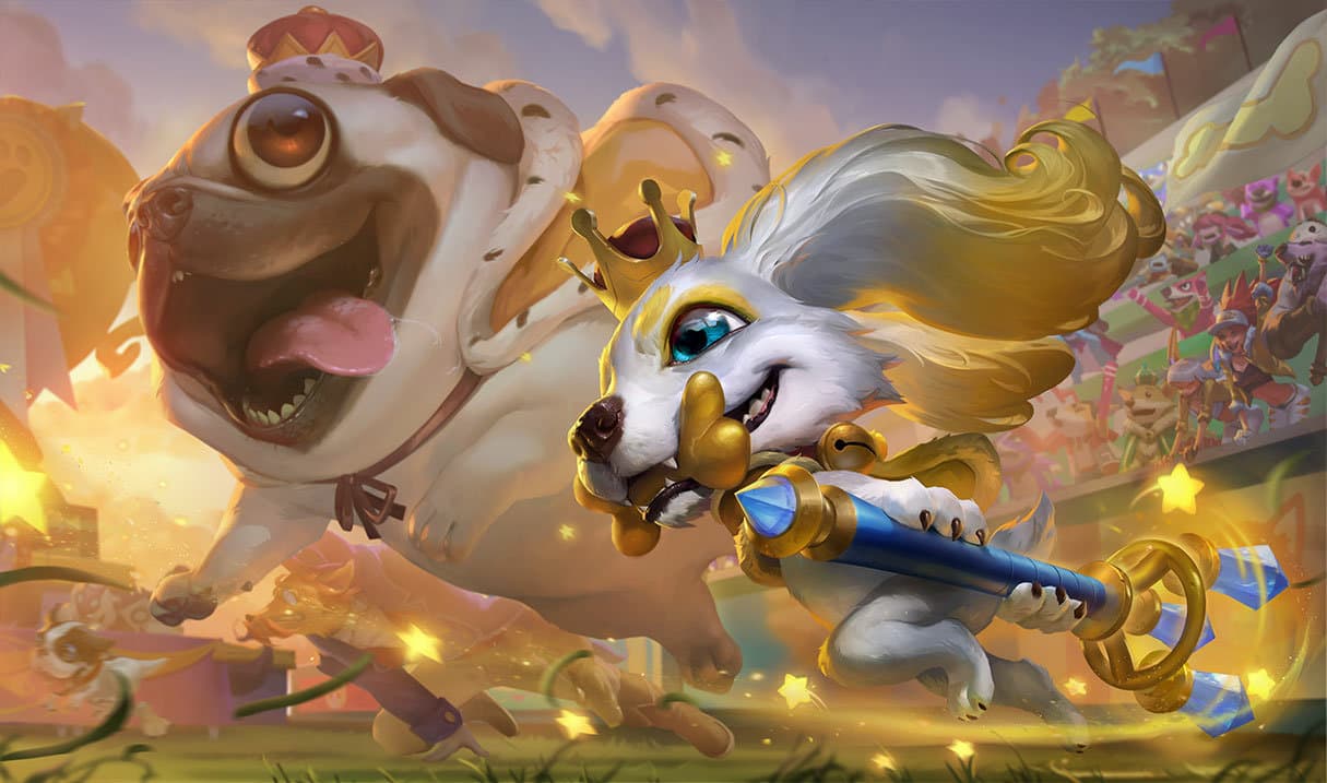 Fizz Doguinho Edição de Prestígio
